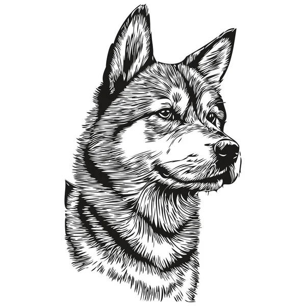 Вектор Черного Рисунка Собаки Шибы Ину Иллюстрация Линии Рисунка Изображении — стоковый вектор