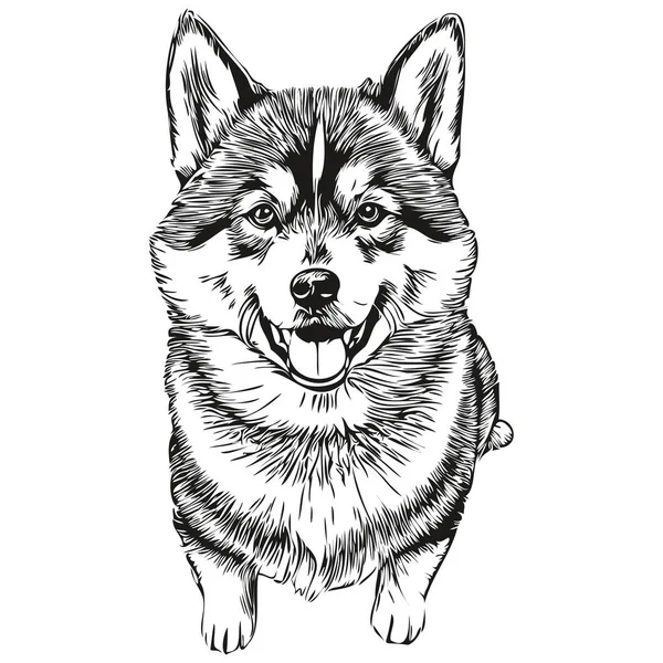 Векторный Портрет Собаки Шибы Ину Смешная Очертания Питомца Белом Фоне — стоковый вектор