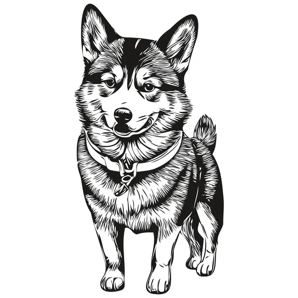 Shiba Inu Собака Нарисовал Логотип Рисунок Черно Белой Линии Животного — стоковый вектор