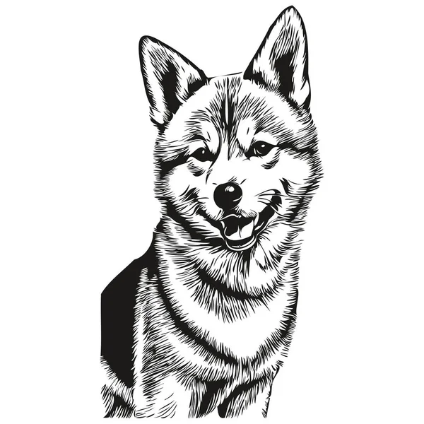 Shiba Inu Dog Head Line Drawing Vector Hand Drawn Illustration — Stock Vector