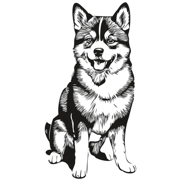 Shiba Inu Perro Aislado Dibujo Sobre Fondo Blanco Cabeza Mascota — Vector de stock