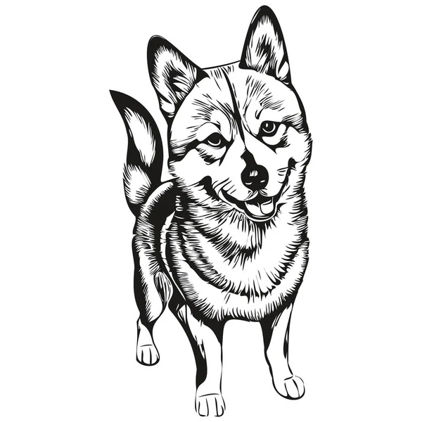 Shiba Inu Cão Esboço Lápis Desenho Arte Personagem Preto Fundo — Vetor de Stock