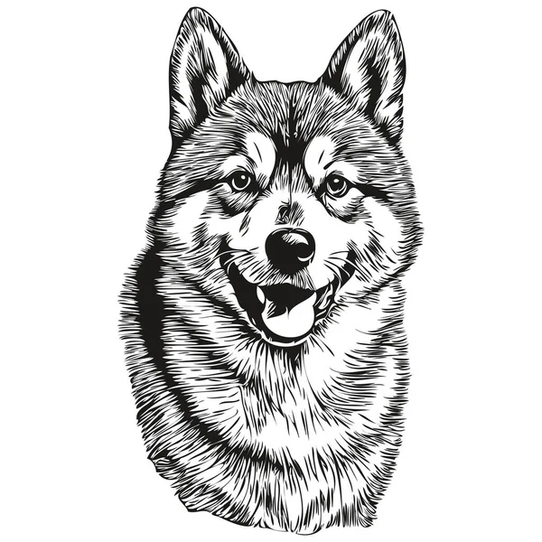 Shiba Inu Pies Ołówek Ręka Rysunek Wektor Zarys Ilustracja Zwierzę — Wektor stockowy