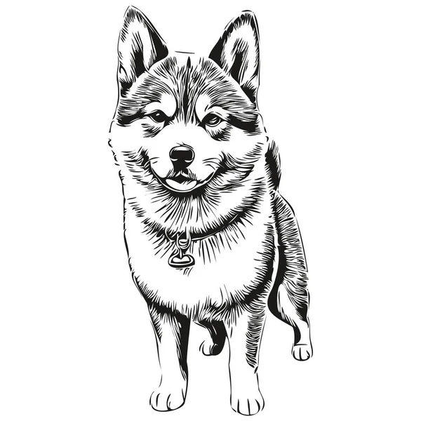 Shiba Inu Perro Mascota Silueta Animal Línea Ilustración Dibujado Mano — Vector de stock