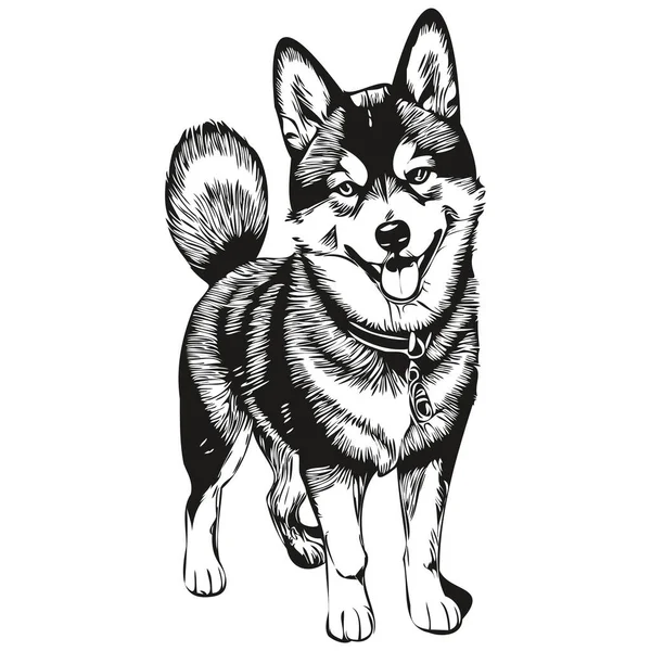Шиба Іну Собака Ескіз Ілюстрація Чорно Білий Гравірувальний Вектор — стоковий вектор