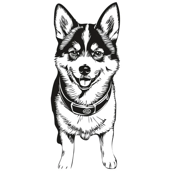 Shiba Inu Pes Portrét Vektoru Zvířecí Ruční Kresba Pro Tetování — Stockový vektor