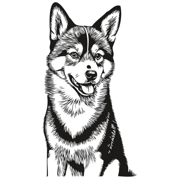 Shiba Inu Hund Realistisk Husdjur Illustration Hand Rita Ansikte Svart — Stock vektor