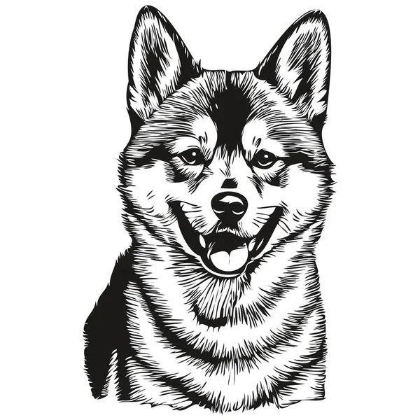 Shiba Inu Hond Vector Gezicht Tekening Portret Schets Vintage Stijl — Stockvector