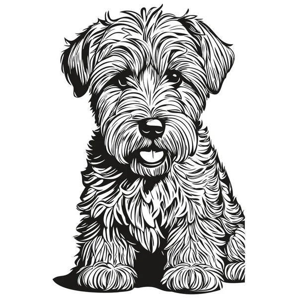 Vecteur Dessin Noir Pour Chien Soft Coated Wheaten Terrier Illustration — Image vectorielle