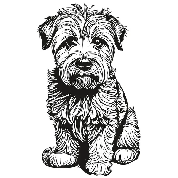 Yumuşak kaplamalı buğdaylı teriyer köpek çiftliği çizimi, klipsli hayvan eli çizim vektörü siyah ve beyaz