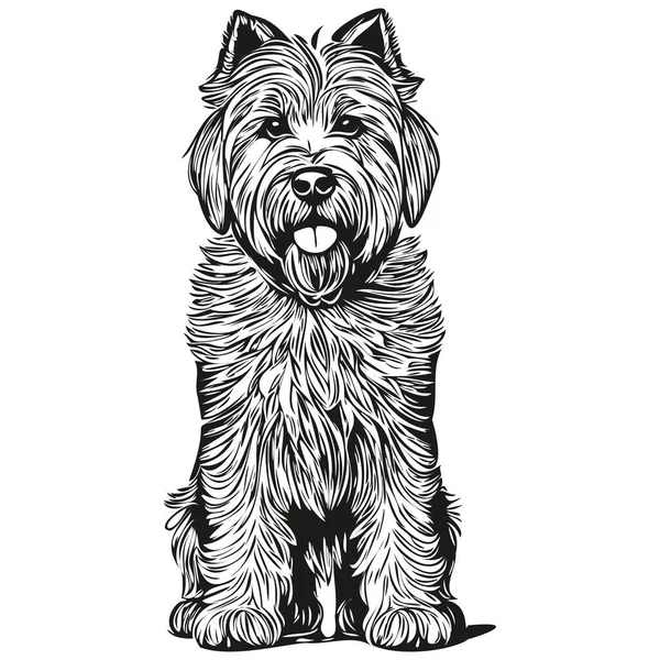 Soft Coated Wheaten Terrier Dog Cartoon Face Ink Portrait Black — Stock Vector