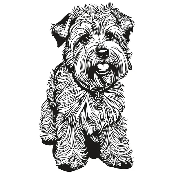 มเคล Wheaten Terrier ขวาดด วยม อโลโก วาดเส าและส ขาวภาพประกอบส ยงศ — ภาพเวกเตอร์สต็อก