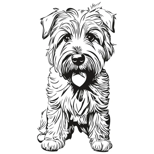 Portrait Vectoriel Visage Chien Terrier Wheaten Enduit Doux Illustration Drôle — Image vectorielle
