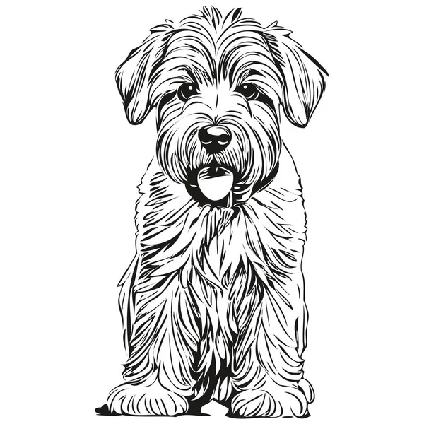 Soft Revestido Wheaten Terrier Desenho Esboço Tinta Cão Tatuagem Vintage — Vetor de Stock