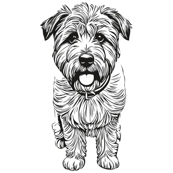 Soft Coated Wheaten Terrier Dog Outline Pencil Drawing Artwork Black — Stock Vector