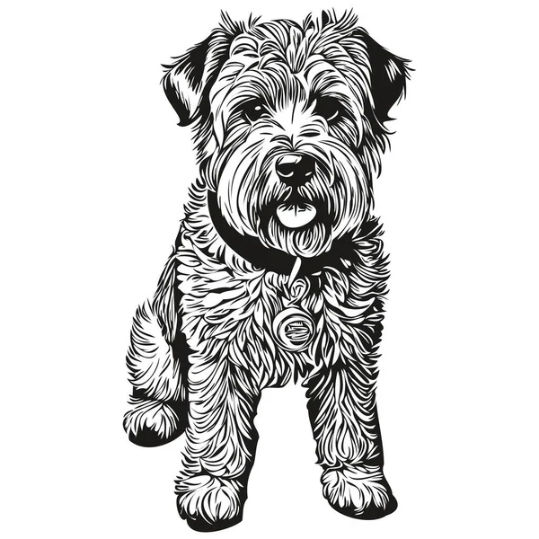 Soft Coated Wheaten Terrier Pies Ołówek Ręka Rysunek Wektor Zarys — Wektor stockowy