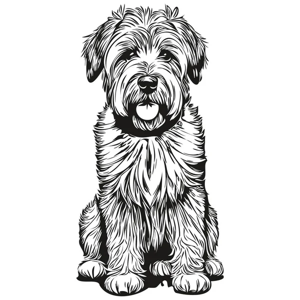 Suave Cubierta Wheaten Terrier Perro Mascota Silueta Animal Línea Ilustración — Vector de stock