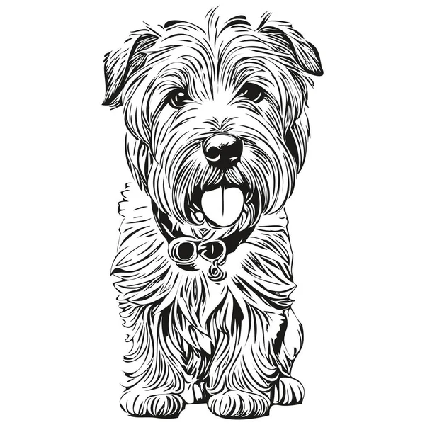 Silhouette Animal Compagnie Chien Terrier Wheaten Enduit Doux Illustration Ligne — Image vectorielle