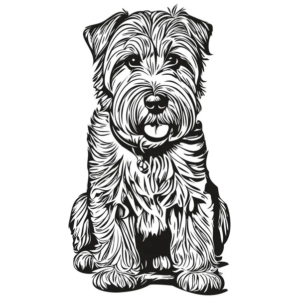 Crayon Réaliste Pour Chien Soft Coated Wheaten Terrier Dessin Vectoriel — Image vectorielle