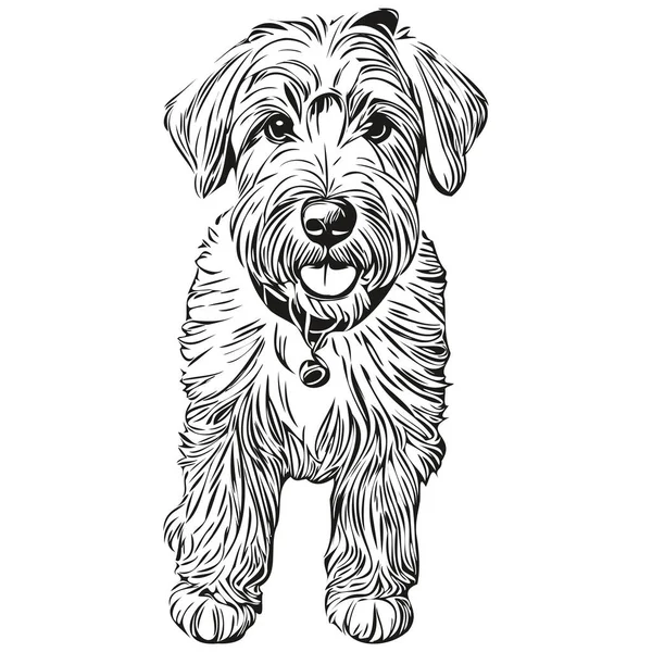 Софт Покрытие Wheaten Terrier Футболка Принтом Черно Белая Симпатичные Смешные — стоковый вектор