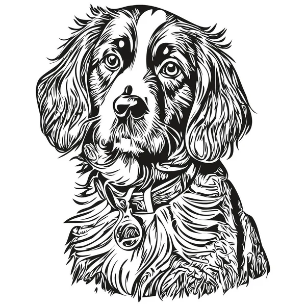 スパニエルBoykin犬黒描画ベクトル 孤立した顔の絵線のイラスト現実的な品種のペット — ストックベクタ