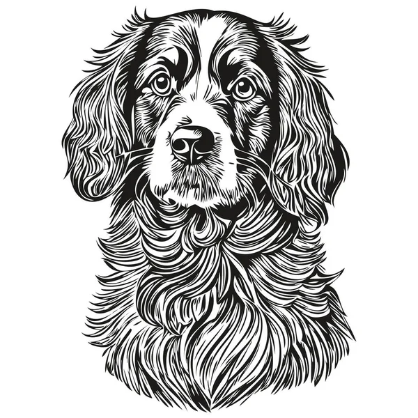 Вектор Черного Рисунка Собаки Спаниеля Бойкина Изолированный Рисунок Лица Рисунок — стоковый вектор