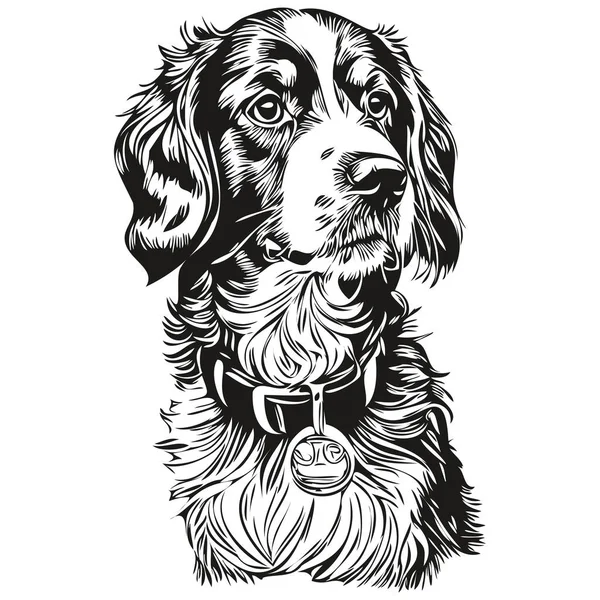 Спаниель Бойкин Собака Мультяшный Портрет Чернила Лица Черно Белый Рисунок — стоковый вектор