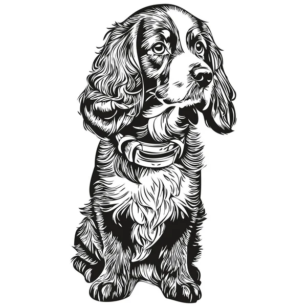 Spaniel Boykin犬の品種の線画 クリップアート動物の手の描画ベクトル黒と白のスケッチの描画 — ストックベクタ