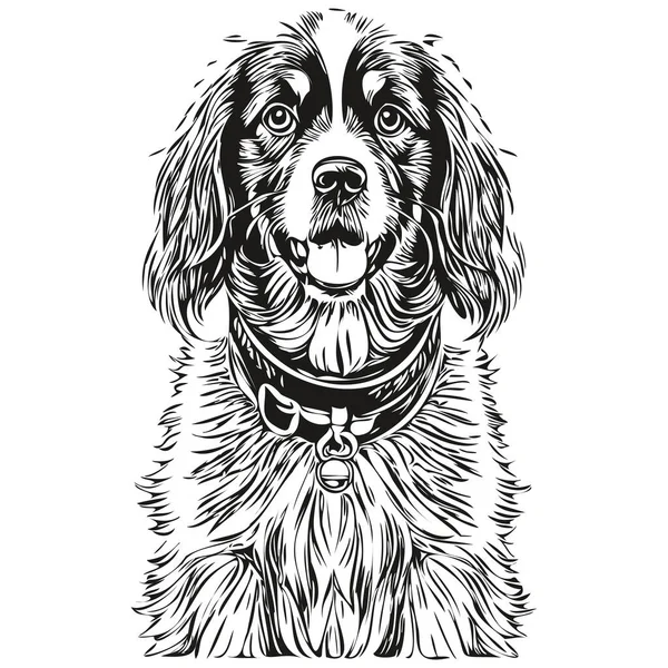 Портрет Собаки Спаниеля Бойкина Чернилами Лице Черно Белый Эскиз Отпечаток — стоковый вектор
