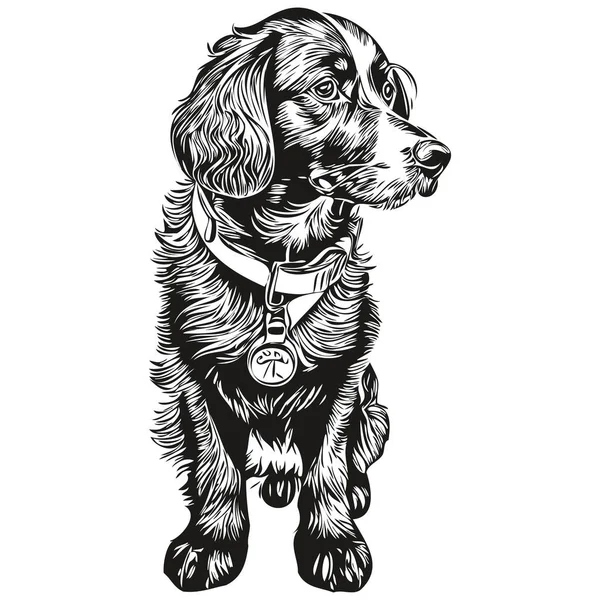 Spaniel Boykin Hund Cartoon Gesicht Tusche Porträt Schwarz Weiß Skizzenzeichnung — Stockvektor