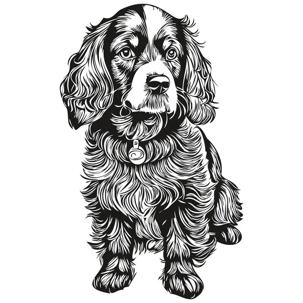 Spaniel Boykin Dog Engraved Vector Portrait Face Cartoon Vintage Drawing — Stock Vector