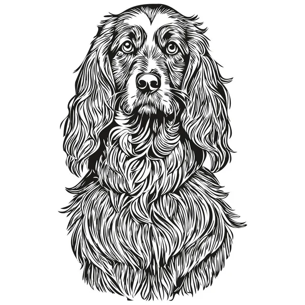Spaniel Boykin Perro Grabado Vector Retrato Dibujo Cara Vendimia Dibujos — Archivo Imágenes Vectoriales