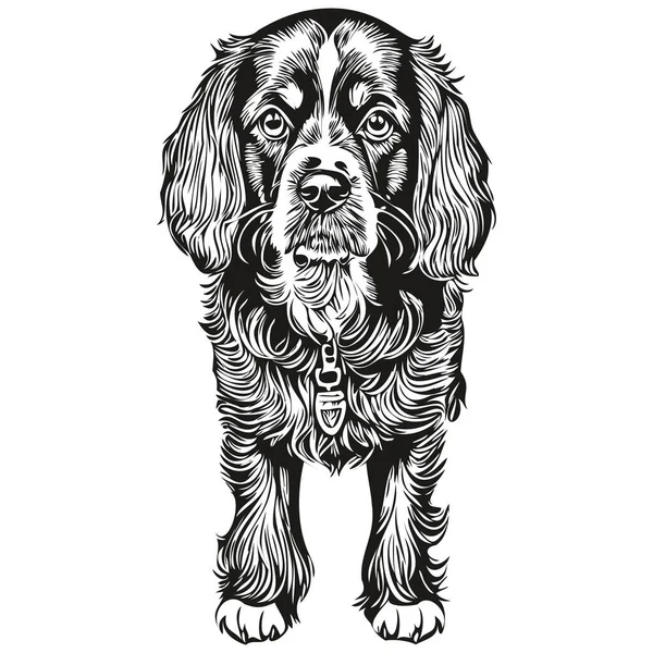 Spaniel Boykin犬の顔ベクトルの肖像画 面白いアウトラインペットイラスト白い背景現実的な品種ペット — ストックベクタ