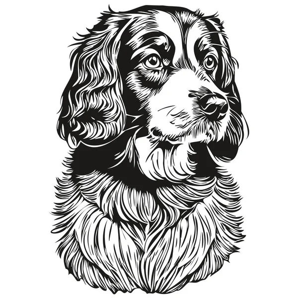 Спаниель Бойкин Векторный Портрет Собаки Смешной Очертания Питомца Иллюстрации Белый — стоковый вектор