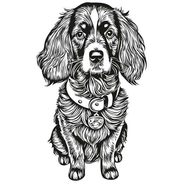 Spaniel Boykin Perro Cara Vector Retrato Esquema Divertido Mascota Ilustración — Archivo Imágenes Vectoriales