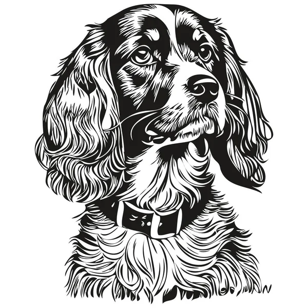 西班牙波希金犬手绘标识 画上黑白线条的艺术宠物 描绘现实的宠物轮廓 — 图库矢量图片