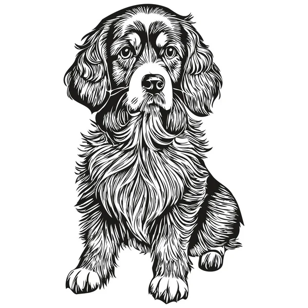 西班牙波希金狗手绘标识 画黑白线条的艺术宠物画图 真实的品种宠物 — 图库矢量图片