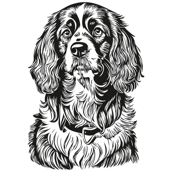 黒と白のラインアートのペットのイラストのスケッチの図面を描くスペイン語Boykin犬の手描きのロゴ — ストックベクタ