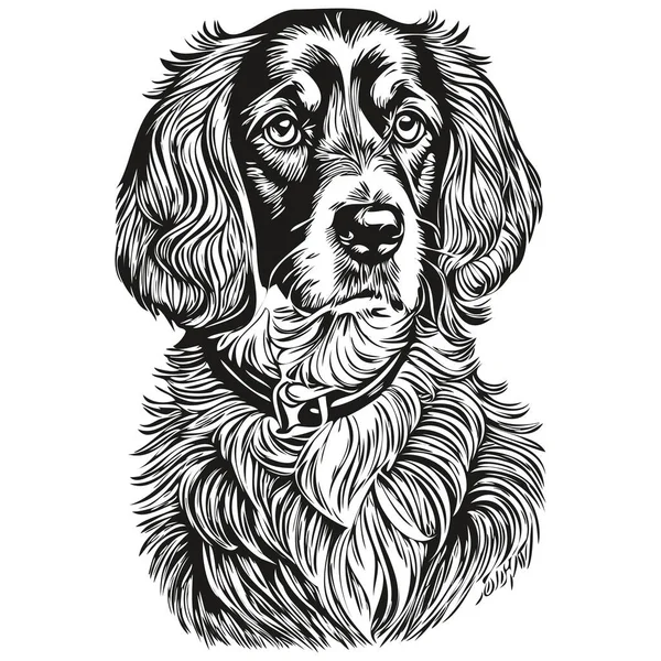 西班牙波希金犬手绘标识 画黑白线条 画宠物画图 — 图库矢量图片
