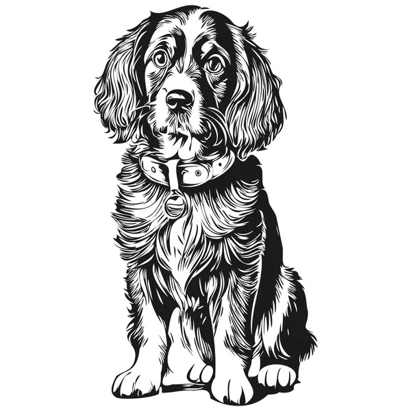 Spaniel Boykin Cão Cabeça Linha Desenho Vetor Desenhado Mão Ilustração —  Vetores de Stock