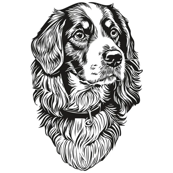 Spaniel Boykin Dog Head Line Drawing Vector Hand Drawn Illustration — Stock Vector