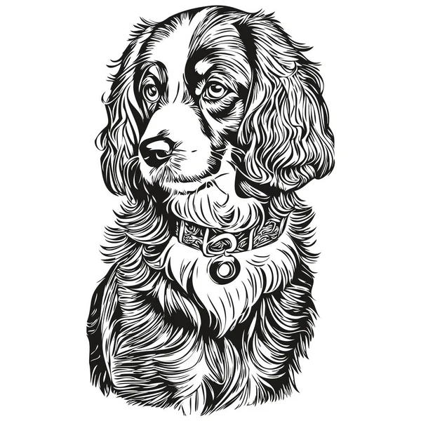 猎犬Boykin狗墨水画 古色古香纹身或T恤衫打印黑白矢量逼真品种宠物 — 图库矢量图片