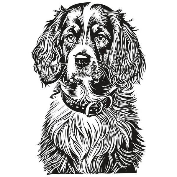 Spaniel Boykin Dog Ink Sketch Drawing Vintage Tattoo Shirt Print — Stock Vector