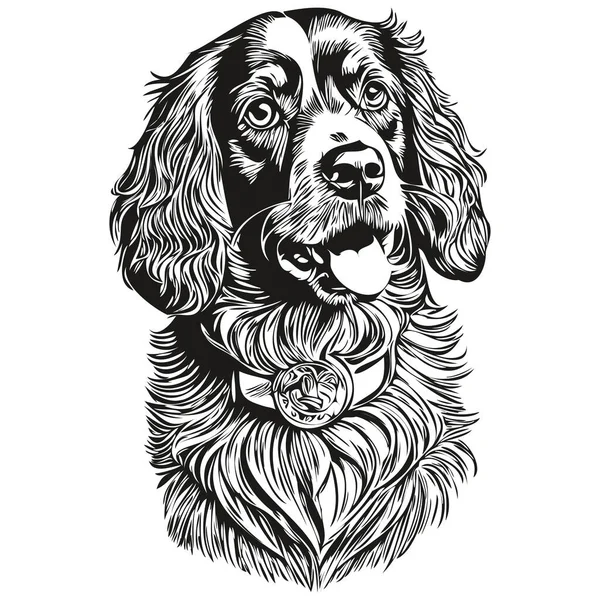 Spaniel Boykin Dog Isolated Drawing White Background Head Pet Line — Stock Vector