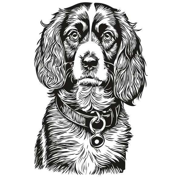 Spaniel Boykin犬インクスケッチ図面 ヴィンテージタトゥーまたはTシャツプリント黒と白のベクトル — ストックベクタ
