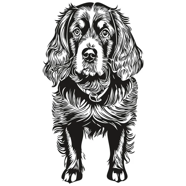 白い背景に描かれたスパニエルBoykin犬 ヘッドペットラインイラスト — ストックベクタ