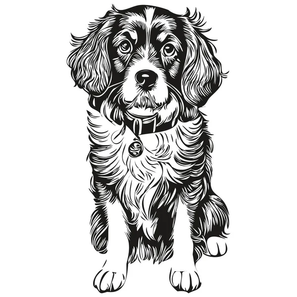スペインのボーイフレンド犬のラインのイラスト 黒と白のインクのスケッチの顔の肖像画ベクトル — ストックベクタ