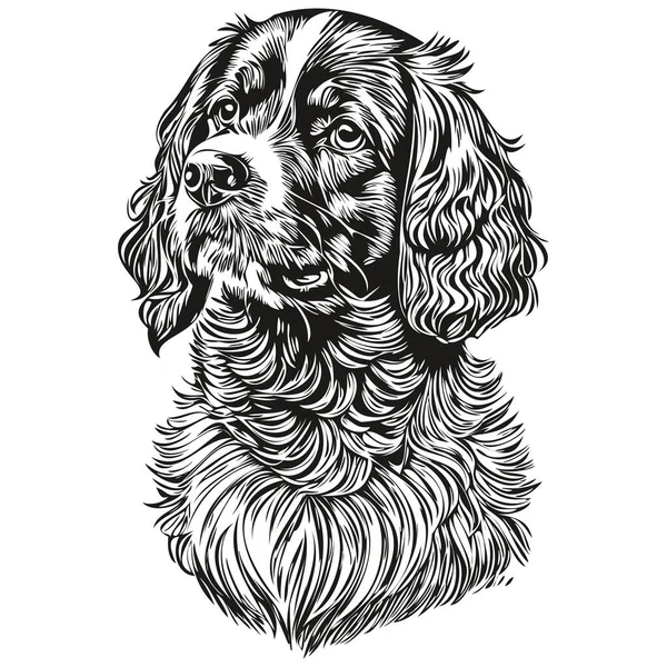 Spaniel Boykin Dog Line Illustration Schwarz Weiß Tinte Skizze Gesicht — Stockvektor