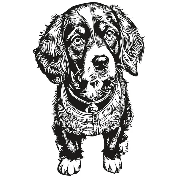 スパニエルBoykin犬のロゴベクトル黒と白 ヴィンテージかわいい犬の頭は現実的な品種のペットを刻ま — ストックベクタ