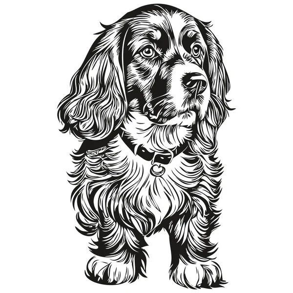 スパニエルBoykin犬のロゴベクトル黒と白 ヴィンテージかわいい犬の頭の彫刻スケッチ図面 — ストックベクタ